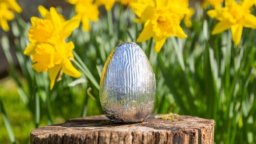 Easter egg with daffodils in the background
